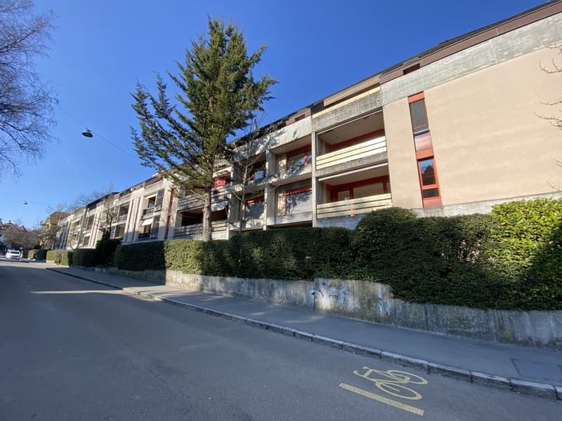 Schöne Wohnung an ruhiger Lage (1)
