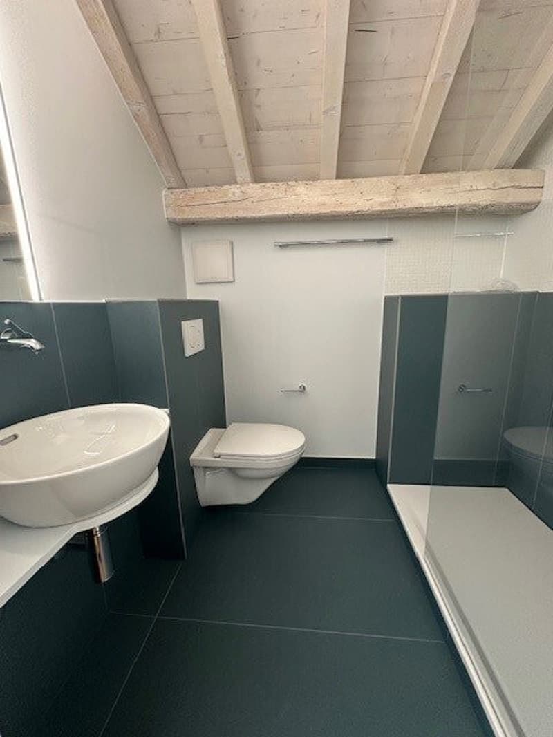 salle_de_douche_2.jpg