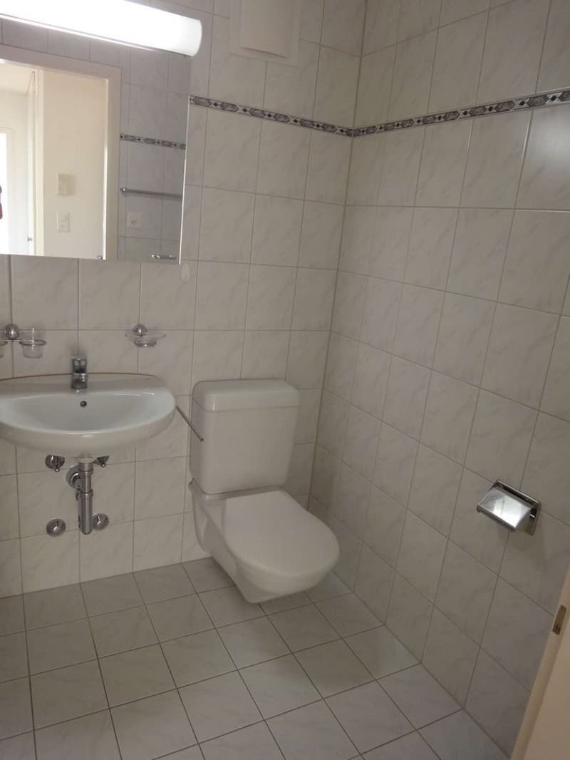 Gemütliche 3-Zimmer-Wohnung in Dübendorf zentral gelegen (5)