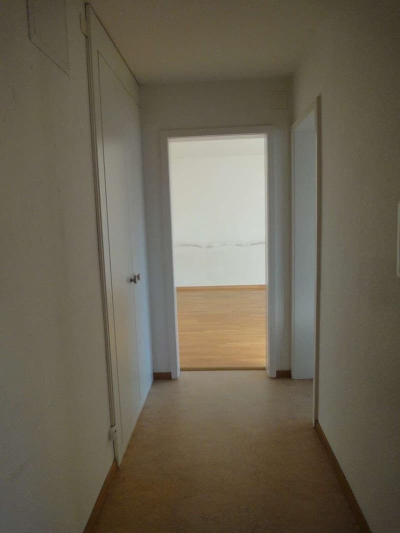 Gemütliche 3-Zimmer-Wohnung in Dübendorf zentral gelegen (2)