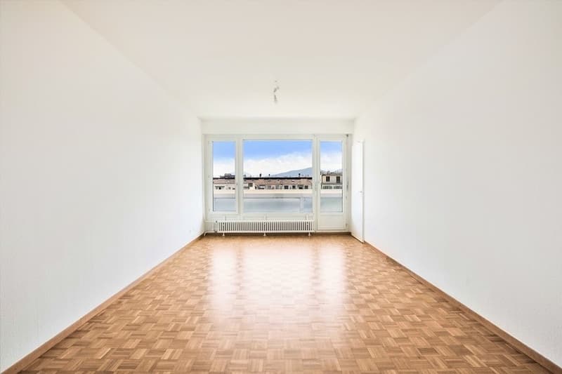 Bel appartement en plein centre du quartier de la Servette (5)