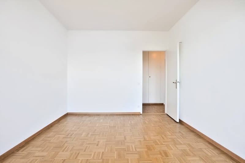 Bel appartement en plein centre du quartier de la Servette (9)