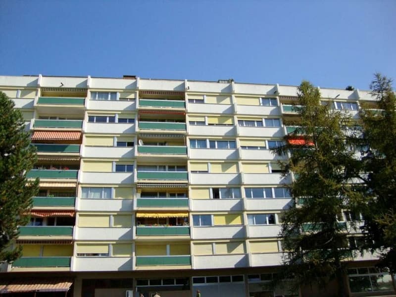 Place de parc à louer - Thônex (2)