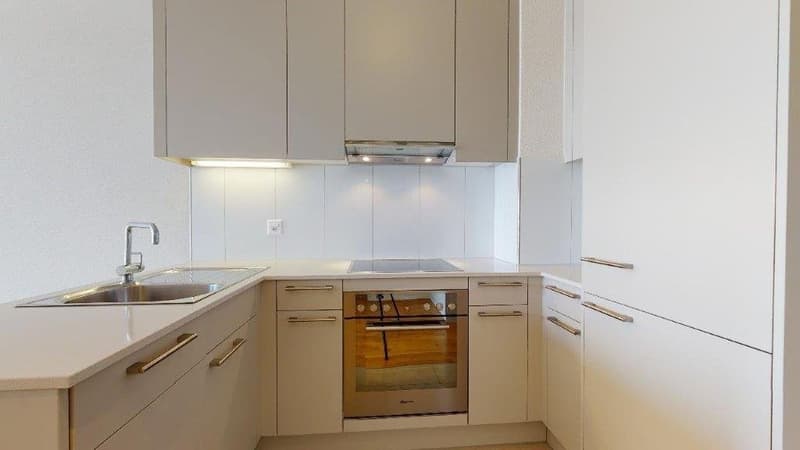 Moderne Singlewohnung (3)