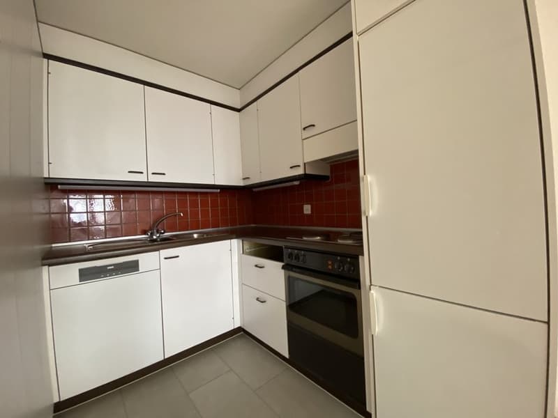 Grosszügige Wohnung mit Terrasse (4)