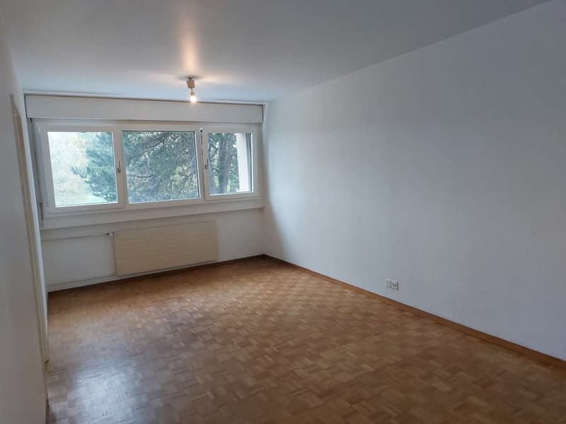 Appartement de 2 pièces en campagne - Thônex (2)