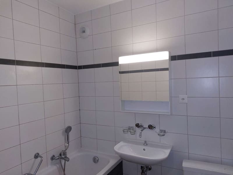 Appartement de 2 pièces en campagne - Thônex (4)