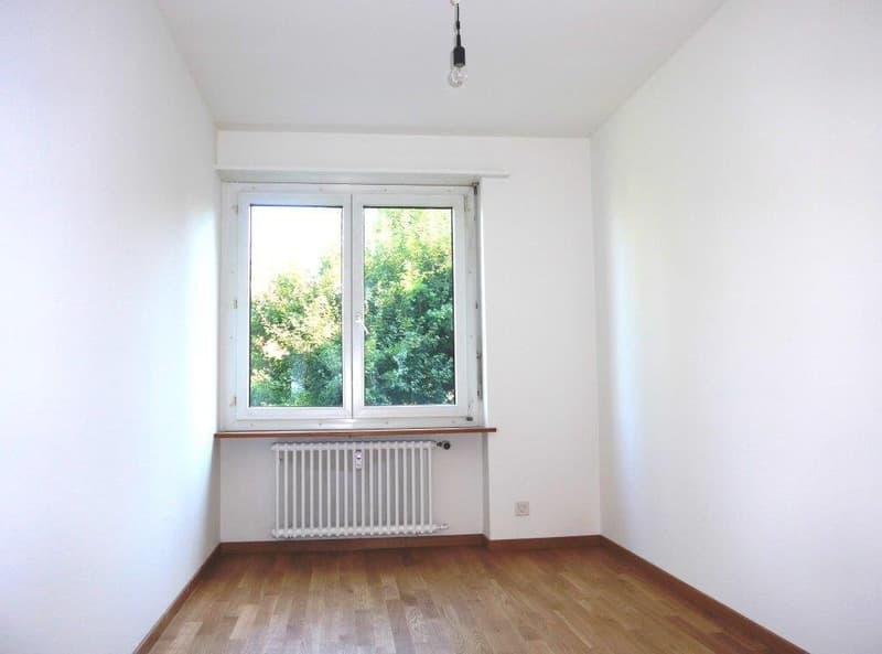 Direkt am Schützenmattpark mit wunderschöner Aussicht (4)