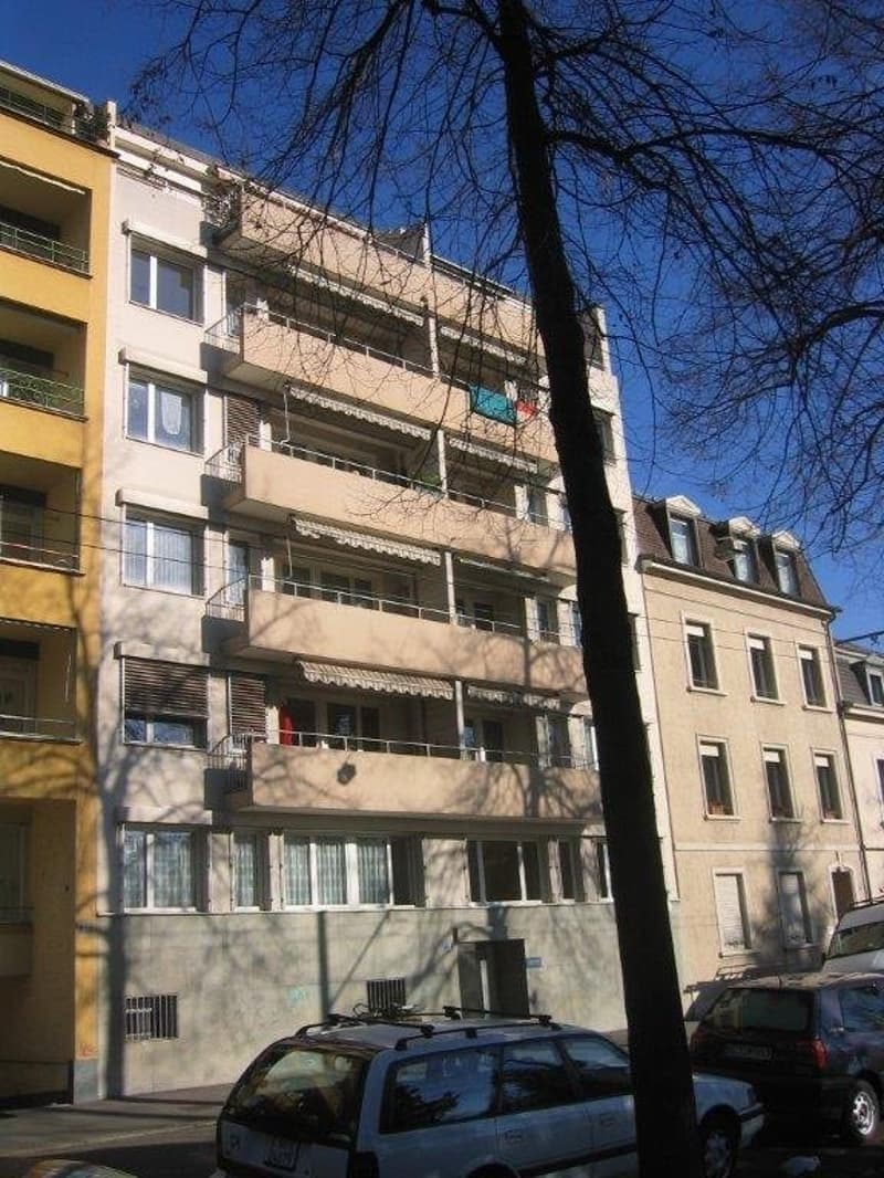 Direkt am Schützenmattpark mit wunderschöner Aussicht (1)