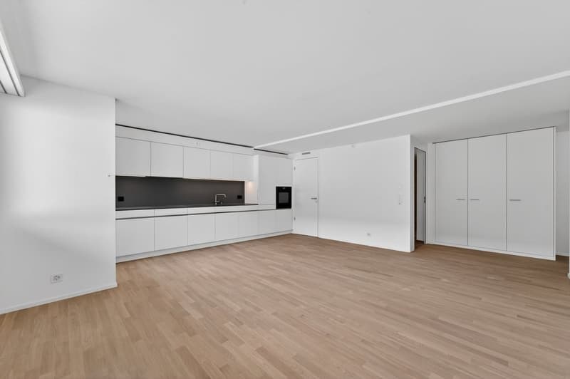 Wohn-_und_Essbereich_mit_Kueche_typenaehnliche_Wohnung.jpg