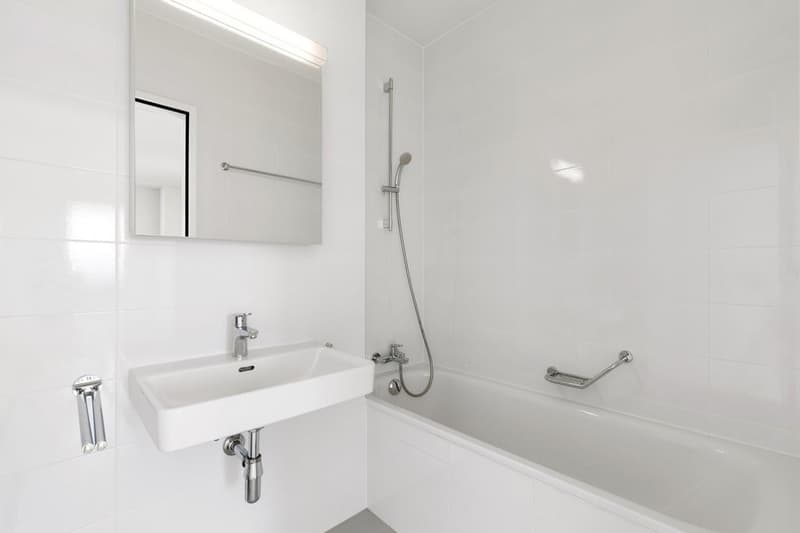 Logement moderne au sein de l'écoquartier des Vergers (9)