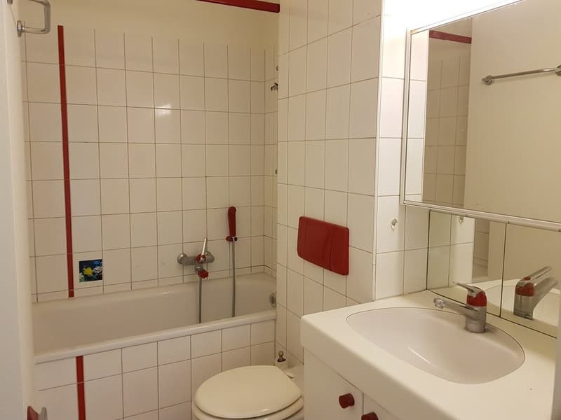gemütliche ruhige Wohnung (3)
