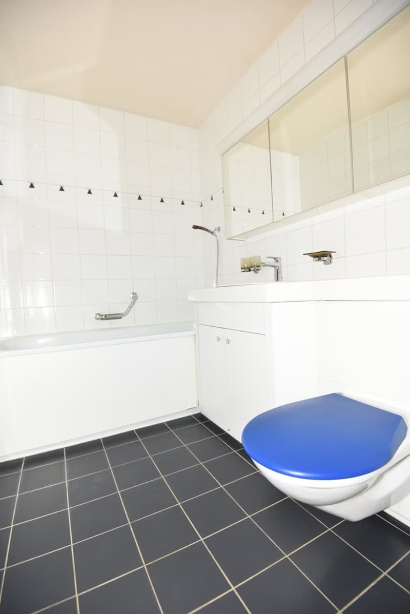 Salle de bains/WC/lavabo