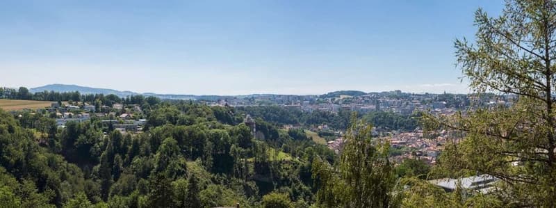 Vue