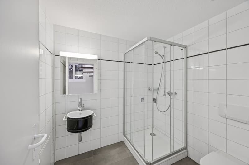 Moderne Wohnung im Länggass-Quartier (10)
