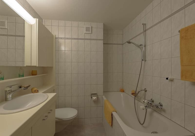 3 - Zimmerwohnung an ruhiger Lage nähe Allschwilerplatz (6)