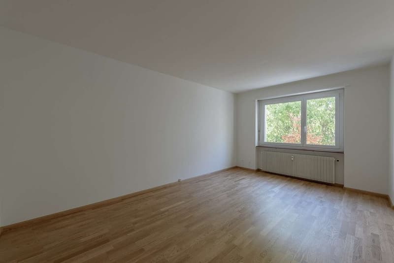 3 - Zimmerwohnung an ruhiger Lage nähe Allschwilerplatz (3)