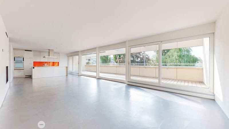 Moderne Attikawohnung direkt am See (6)