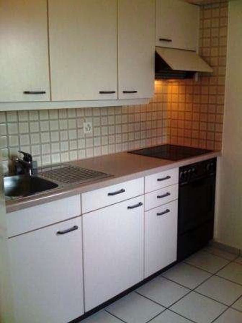 Charmante 1-Zimmerwohnung mit Balkon an zentraler Lage in Solothurn (2)