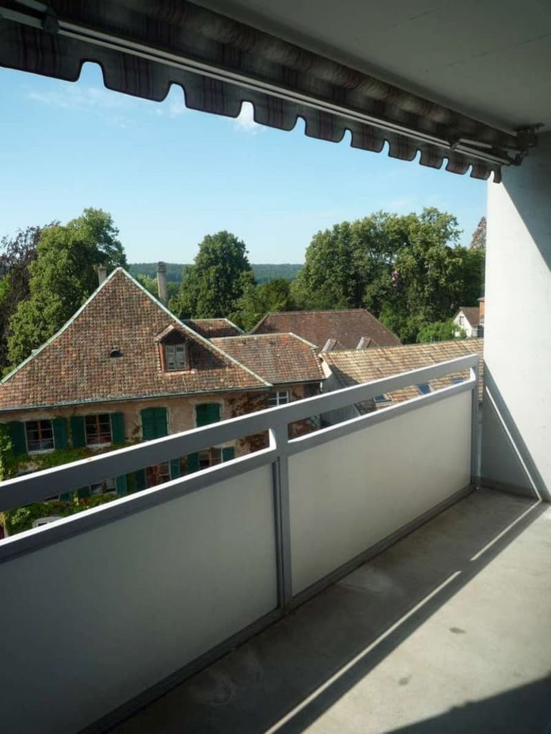 Charmante 1-Zimmerwohnung mit Balkon an zentraler Lage in Solothurn (5)