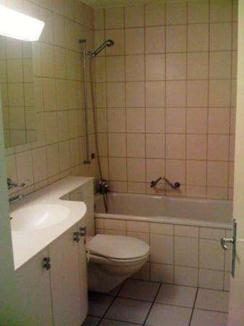 Charmante 1-Zimmerwohnung mit Balkon an zentraler Lage in Solothurn (3)