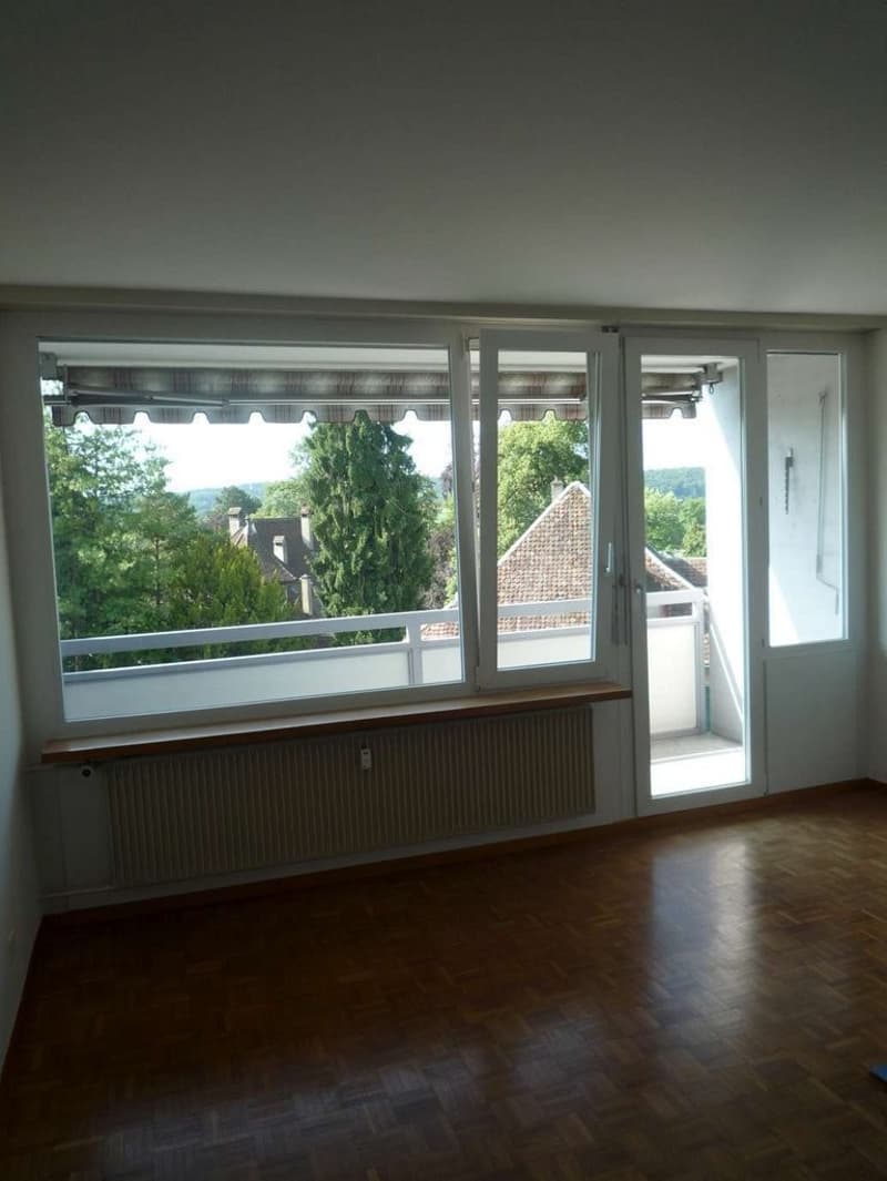 Charmante 1-Zimmerwohnung mit Balkon an zentraler Lage in Solothurn (4)