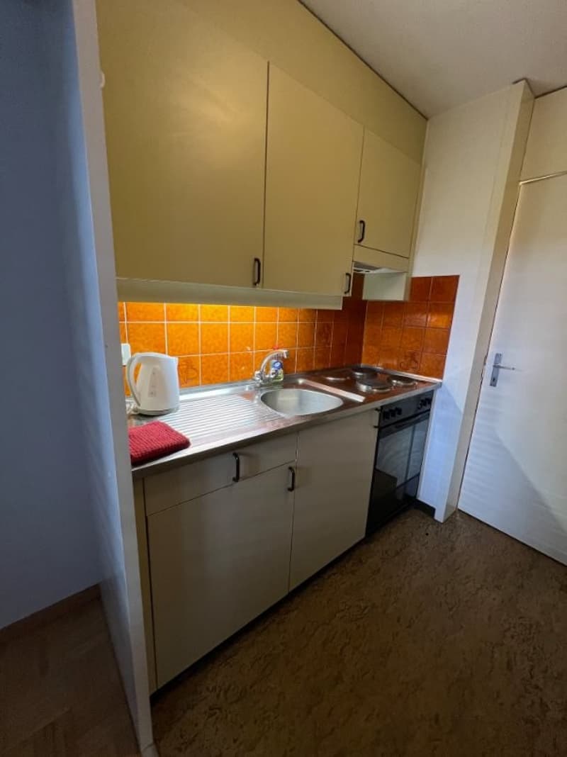 Gemütliche Wohnung mit Gartensitzplatz (4)