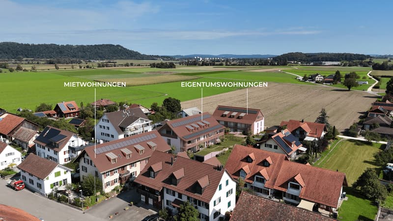 Vogel1_beschriftet2