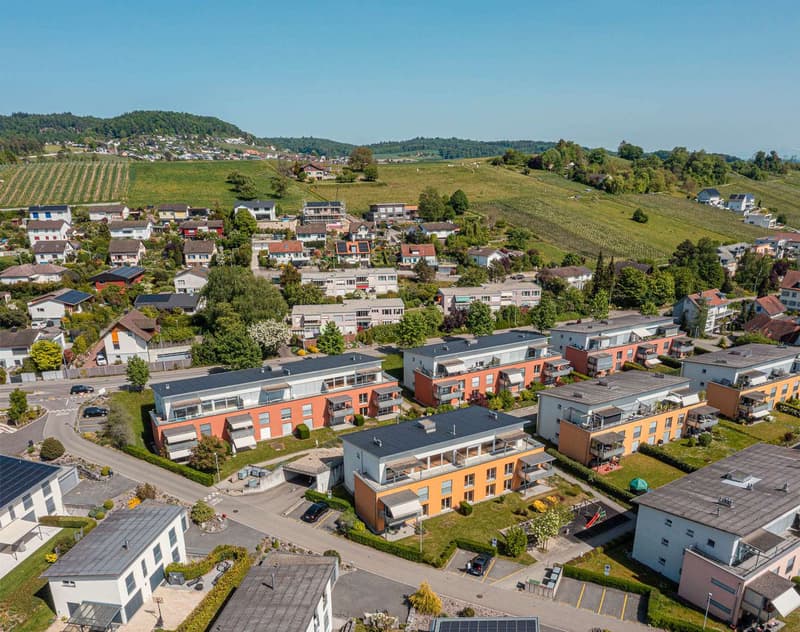 Rheinfallstrasse_030_web