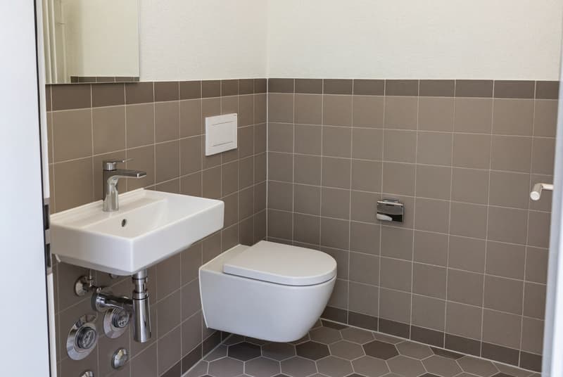 Firefly_Gemini Flash_Toiletten deckel schlissen 419437
