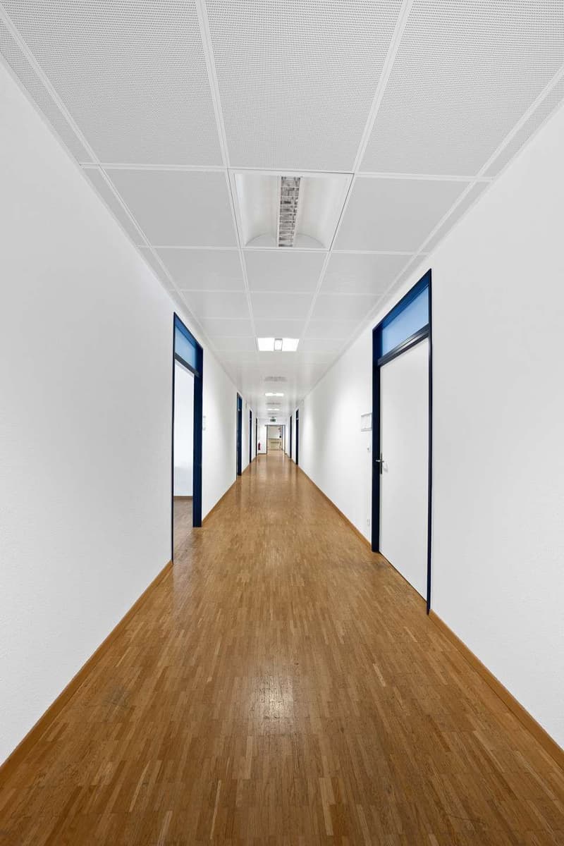IT3 ST. Gallen, Bu?ro Rorschacherstrasse-Helvetiastrasse-24