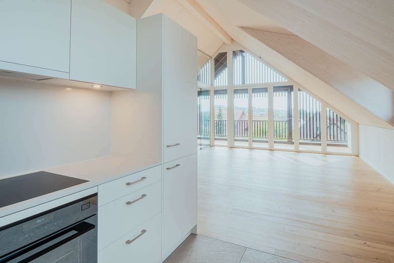 Küche + Wohnzimmer