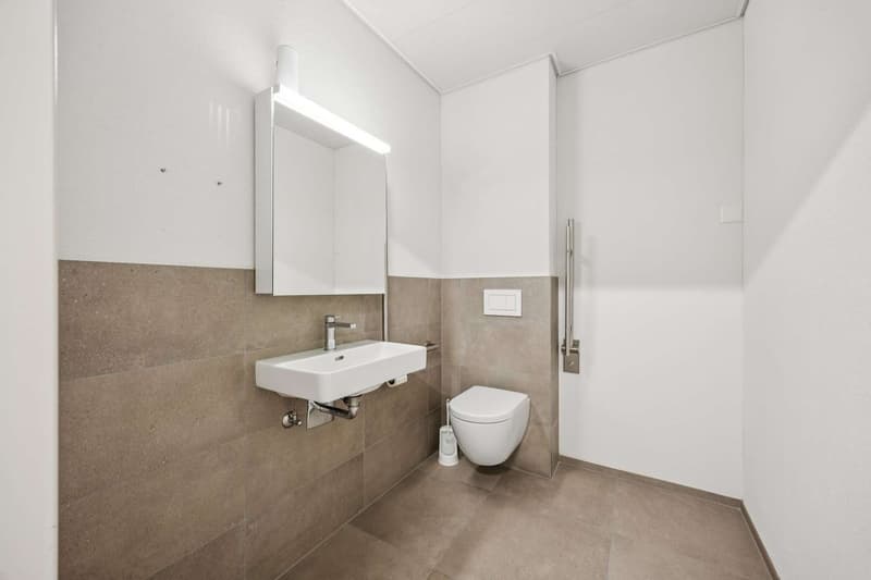 IV Toilette