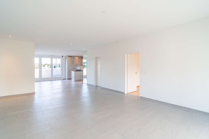 Helle 4.5-Zimmer-Attikawohnung mit Stadtblick (3)