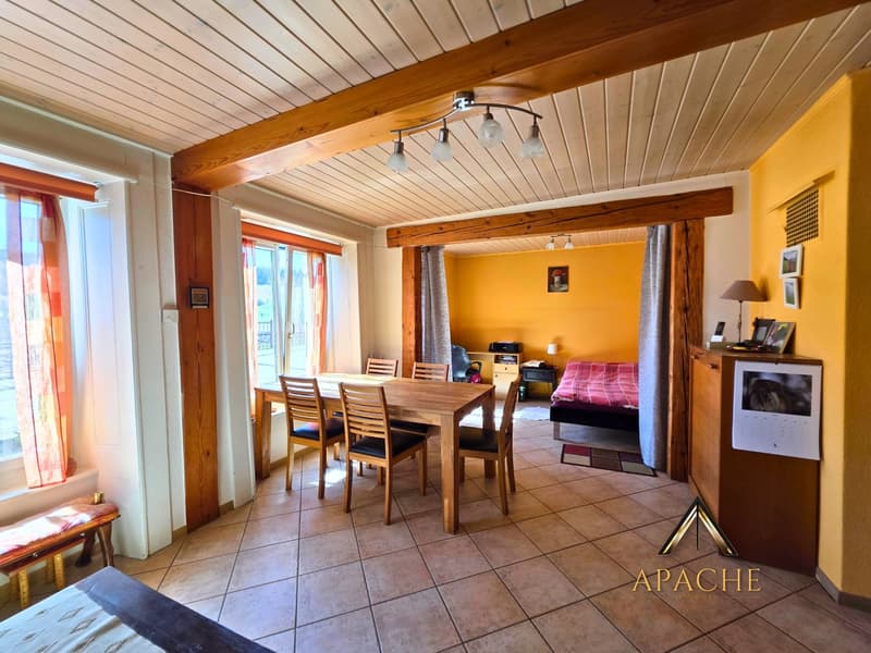 Charmante maison individuelle (5)