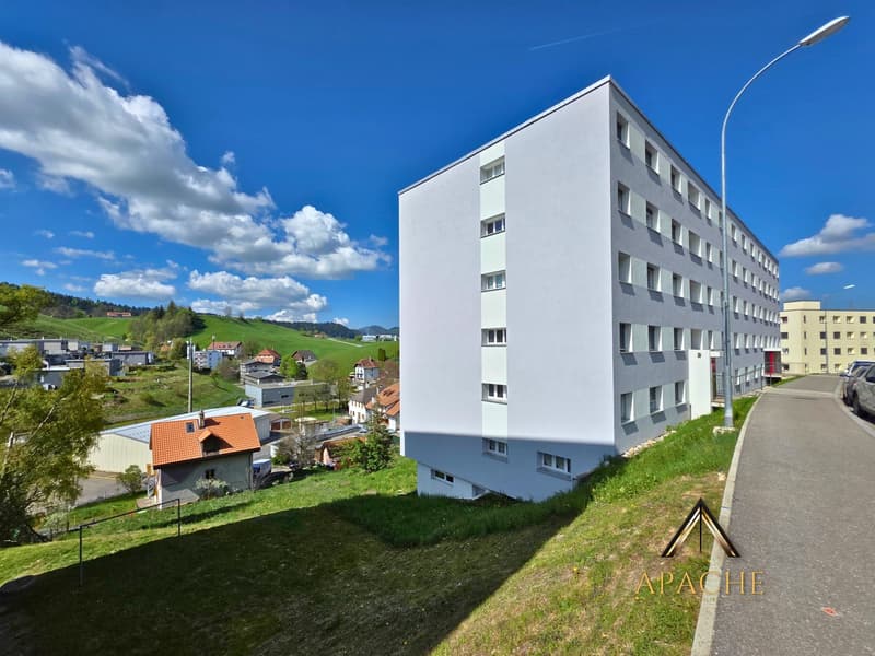 Apartment with 3.5 rooms, balcony and breathtaking view in dominant position (10)