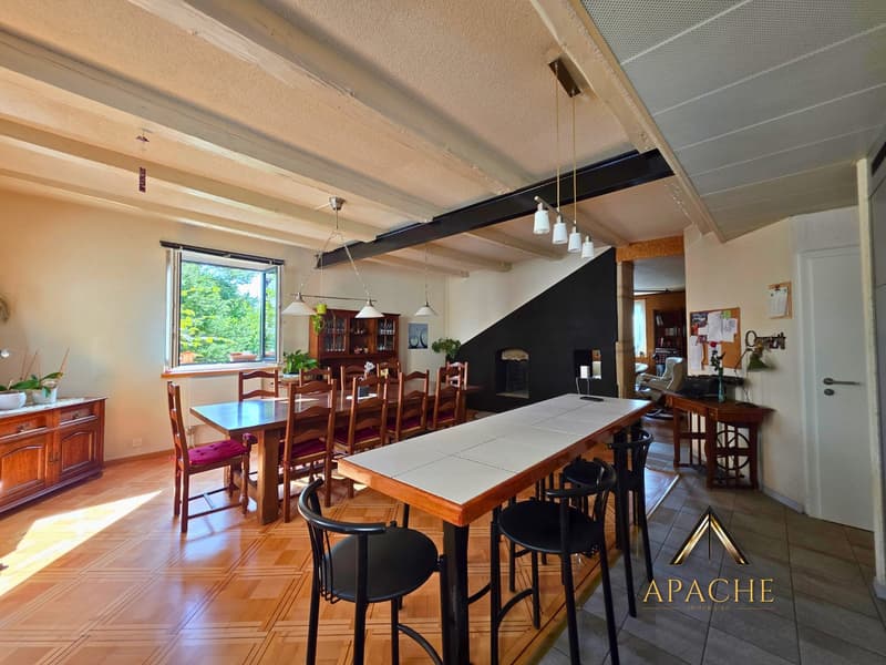 Un appartement de caractère aux volumes généreux (2)
