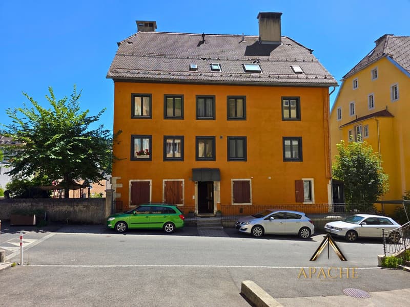 Un appartement de caractère aux volumes généreux (9)