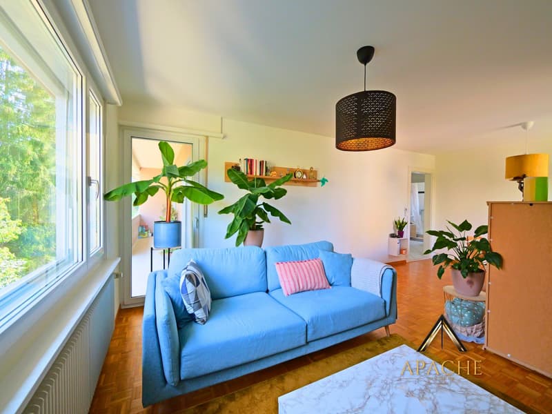 Lumineux 4.5 pièces avec deux balcons dans un environnement paisible (2)