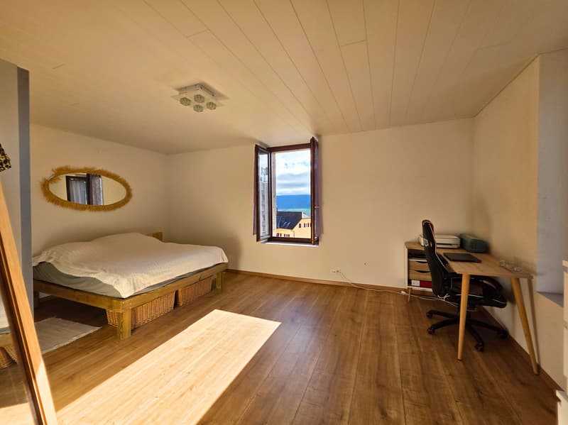 Spacieux et lumineux appartement de 3 pièces (7)