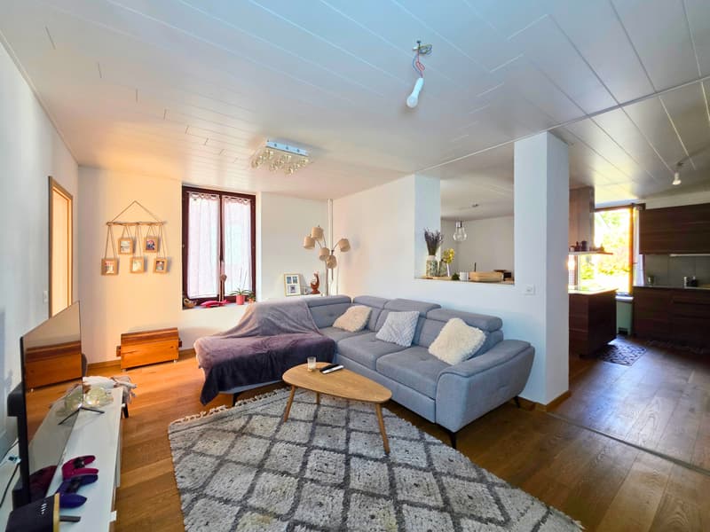 Spacieux et lumineux appartement de 3 pièces (6)