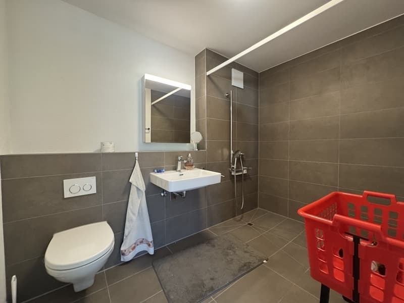 Badezimmer_Derendingen.JPG