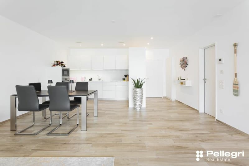 Zentrale und moderne 2.5-Attikawohnung (5)