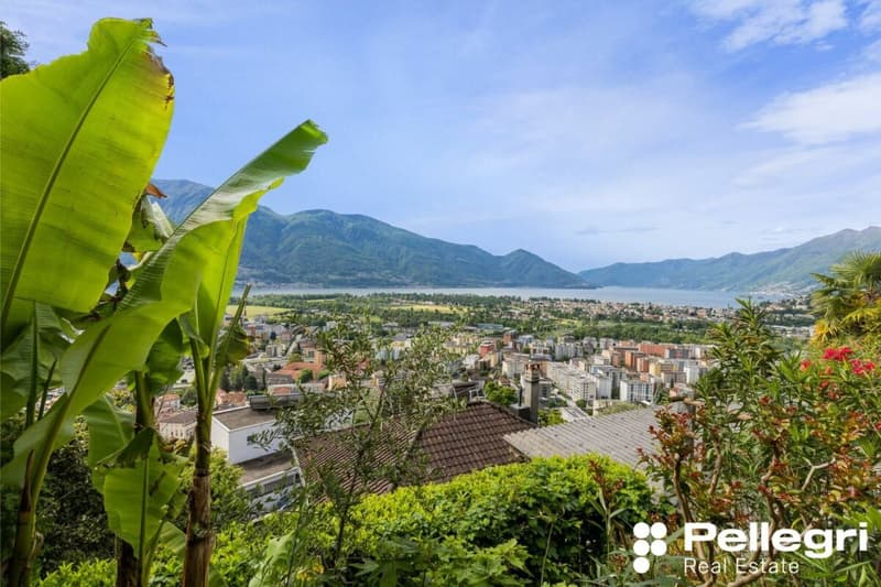 Moderne 5.5 Zi.-Villa mit Pool und Seesicht (3)