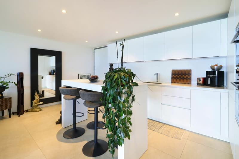 Moderne 3.5 Zi.-Wohnung mit Aussenpool und Seesicht (3)