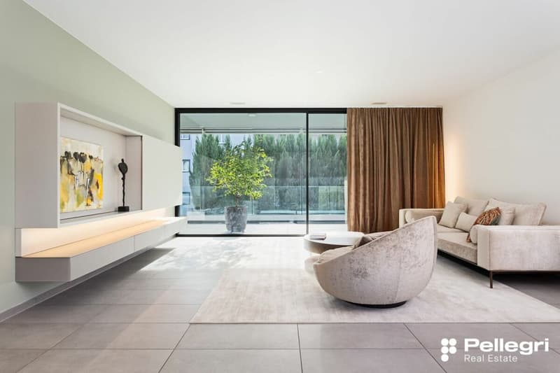 Elegante 4.5 Zi.-Wohnung in zentraler Lage mit grosszügiger Terrasse (2)