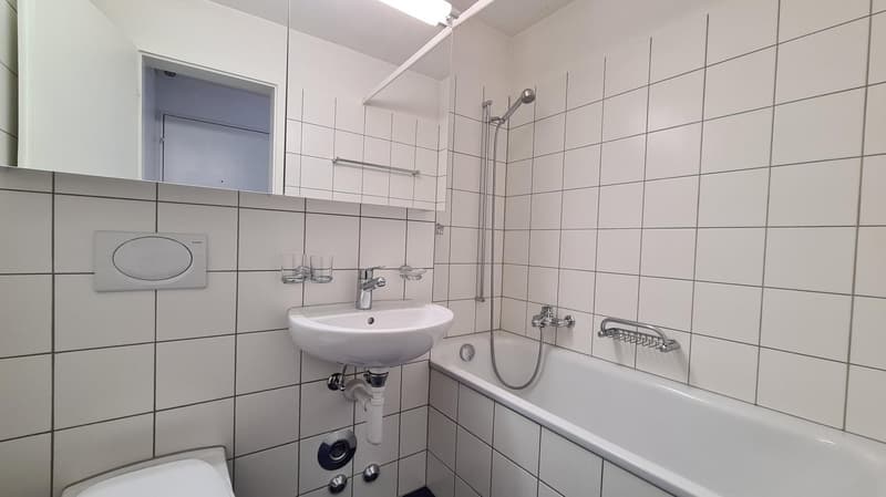 Attraktives Mehrfamilienhaus in der Region Bern (10)