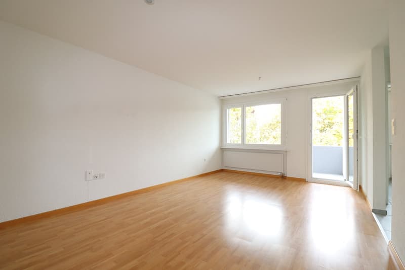 Helle 3.5 Zimmerwohnung in Schmitten (2)