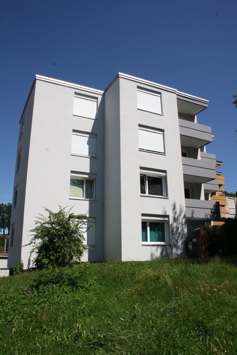 Helle 3.5 Zimmerwohnung in Schmitten (8)