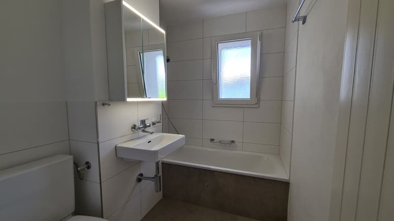 Helle 3.5 Zimmerwohnung in Schmitten (5)